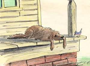 SCAMP ON PORCH