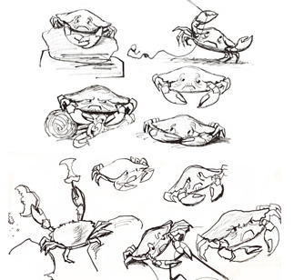 KERMIT SKETCHES